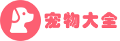 天天宠物网